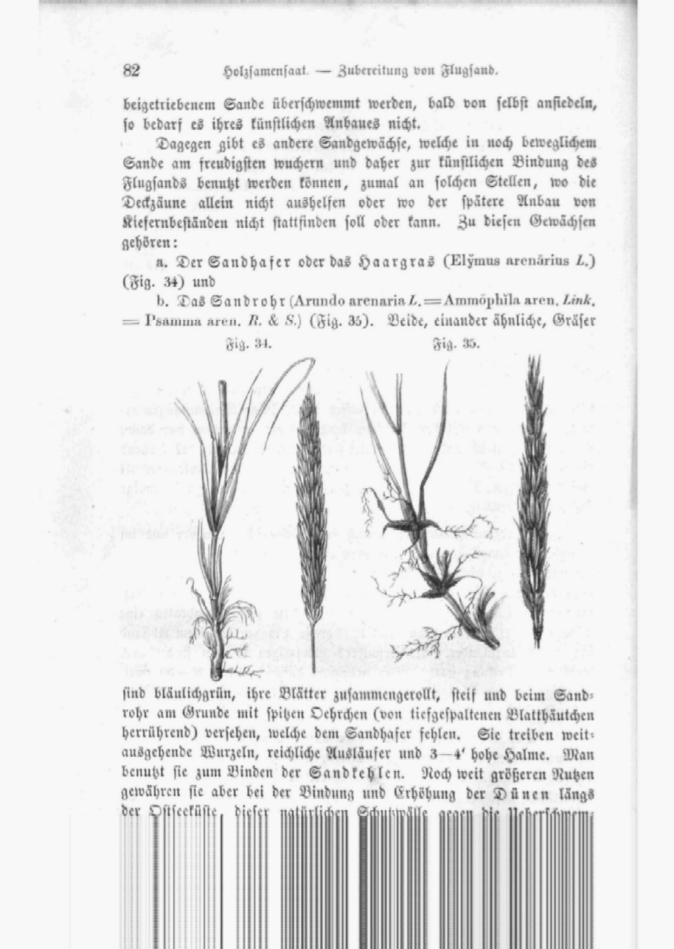 Heyer C. (1864): Der Waldbau