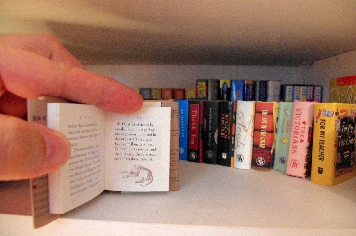Miniaturní knihy na různá témata