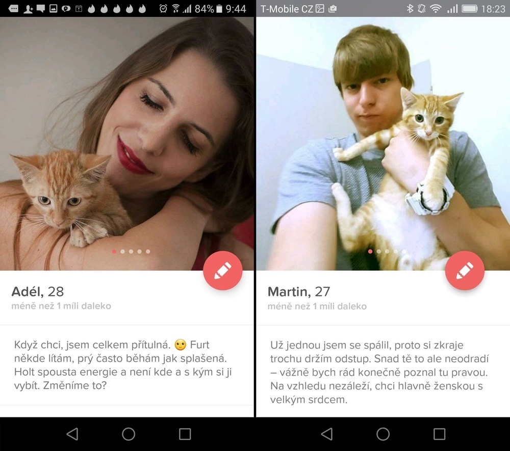 Příklady kočičích profilů na Tinderu